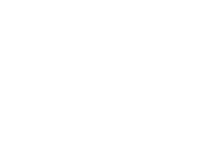 The Pro IO Logo